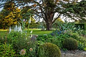 COTTESBROOKE HALL AND GARDENS, NORTHAMPTONSHIRE: THE TERRACE, STEPS, DELPHINIUM CONSTANCE RIVET, ONOPORDUM ACANTHIUM, DELPHINIUM CASSIUS, SALVIA CARADONNA, CEDAR OF LEBANON