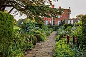 COTTESBROOKE HALL AND GARDENS, NORTHAMPTONSHIRE: THE TERRACE, ONOPORDUM ACANTHIUM, LUPIN MASTERPIECE, ALCHEMILLA MOLLIS, GERANIUM ORION, CEDAR OF LEBANON