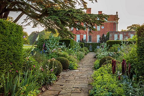 COTTESBROOKE_HALL_AND_GARDENS_NORTHAMPTONSHIRE_THE_TERRACE_ONOPORDUM_ACANTHIUM_LUPIN_MASTERPIECE_ALC