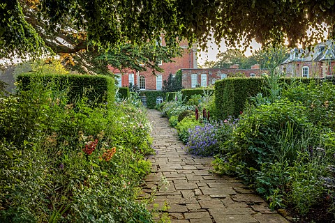 COTTESBROOKE_HALL_AND_GARDENS_NORTHAMPTONSHIRE_THE_TERRACE_ONOPORDUM_ACANTHIUM_LUPIN_MASTERPIECE_ALC