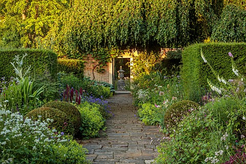 COTTESBROOKE_HALL_AND_GARDENS_NORTHAMPTONSHIRE_THE_TERRACE_ONOPORDUM_ACANTHIUM_LUPIN_MASTERPIECE_ALC