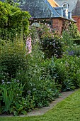COTTESBROOKE HALL AND GARDENS, NORTHAMPTONSHIRE: BORDER, THE STATUE WALK, DELPHINIUM PINK RUFFLES