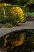 COTTESBROOKE HALL AND GARDENS, NORTHAMPTONSHIRE: THE REFLECTING POOL, CLIPPED BEECH TOPIARY REFLECTED IN BLACK POOL, WATER, REFLECTIONS