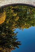 COTTESBROOKE HALL AND GARDENS, NORTHAMPTONSHIRE: THE REFLECTING POOL, CLIPPED BEECH TOPIARY AND TREES REFLECTED IN BLACK POOL, WATER, REFLECTIONS