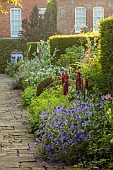COTTESBROOKE HALL AND GARDENS, NORTHAMPTONSHIRE: THE TERRACE, YEW, LUPIN MASTERPIECE, GERANIUM ORION, ONOPORDUM ACANTHIUM