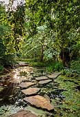 MORTON HALL, WORCESTERSHIRE: THE STROLL GARDEN, JUNE: WHITE FLOWERS OF CORNUS KOUSA NORMAN HADDON. SHRUB, SUMMER, DOGWOOD, POOL, WATER, PONDS, STEPPING STONES