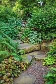 MORTON HALL GARDENS, WORCESTERSHIRE: STONE STEPS UP THE ROCK GARDEN, JUNE, SAXIFRAGA FORTUNE WADA, BRUNNERA JACK FROST, POLYSTICHUM, GREEN, ROCKS, BOULDERS