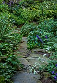 MORTON HALL GARDENS, WORCESTERSHIRE: STONE STEPS IN THE ROCK GARDEN, JUNE, ASTRANTIAS, CAMPANULA, ROCKS, BOULDERS