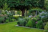 MORTON HALL GARDENS, WORCESTERSHIRE: THE SOUTH GARDEN, JUNE, BORDERS, TREE, PERGOLA, ROSES, CAMPANULA, LAWN
