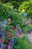 MORTON HALL GARDENS, WORCESTERSHIRE: JUNE, KITCHEN GARDEN, PINK ROSE, ROSA BOSCOBEL, DELPHINIUM CUPID, THALICTRUM FLAVUM GLAUCUM, LUPINS