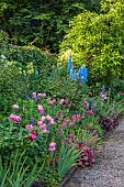 MORTON HALL GARDENS, WORCESTERSHIRE: JUNE, KITCHEN GARDEN, PINK ROSE, ROSA BOSCOBEL, DELPHINIUM CUPID, THALICTRUM FLAVUM GLAUCUM, LUPINS
