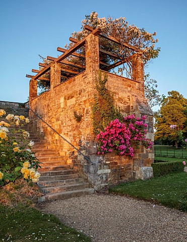 ROCKINGHAM_CASTLE_NORTHAMPTONSHIREJUN_THE_BANDSTAND_WHITE_ROSE_ROSA_RAMBLING_RECTOR_PINK_ROSE_ROSA_M