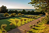 ROCKINGHAM CASTLE, NORTHAMPTONSHIRE: JUNE, PATH WITH STANDARD DAVID AUSTIN ROSES, THE CROSS GARDEN DESIGNED BY JOHN CODRINGTON, LAWN, ELEPHANT YEW CLOUD HEDGE, HEDGES