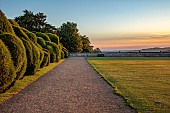 ROCKINGHAM CASTLE, NORTHAMPTONSHIRE: JUNE, LAWN, GRAVEL PATH, ELEPHANT YEW CLOUD HEDGE, HEDGES