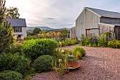 HIGHFIELD FARM, MONMOUTHSHIRE: JULY, GRAVEL GARDEN, EVENING LIGHT, BARN, ACANTHUS RUE LEDAN, ACANTHUS MOLLIS, ERYNGIUM BIG BLUE, BORROWED LANDSCAPE