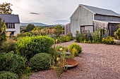 HIGHFIELD FARM, MONMOUTHSHIRE: JULY, GRAVEL GARDEN, EVENING LIGHT, BARN, ACANTHUS RUE LEDAN, ACANTHUS MOLLIS, ERYNGIUM BIG BLUE, BORROWED LANDSCAPE