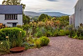 HIGHFIELD FARM, MONMOUTHSHIRE: JULY, GRAVEL GARDEN, EVENING LIGHT, BARN, STIPA GIGANTEA, ROSA I AM MACMILLAN, BORROWED LANDSCAPE