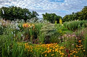 HIGHFIELD FARM, MONMOUTHSHIRE: JULY, KNIPHOFIA TAWNY KING, SANGUISORBA TENUIFOLIA ALBA, IMPERATA CYLINDRICA RUBRA, IMPERATA RED BARRON, COREOPSIS LANCEOLATA, CORNUS ARGENTEA