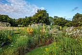 HIGHFIELD FARM, MONMOUTHSHIRE: JULY, BORDERS, KNIPHOFIA TAWNY KING, SANGUISORBA TENUIFOLIA ALBA, CORNUS ALTERNIFOLIA ARGENTEA