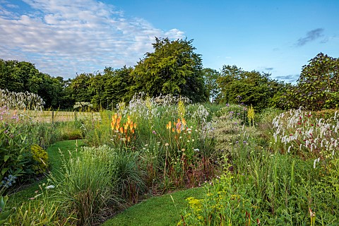 HIGHFIELD_FARM_MONMOUTHSHIRE_JULY_BORDERS_KNIPHOFIA_TAWNY_KING_SANGUISORBA_TENUIFOLIA_ALBA_CORNUS_AL