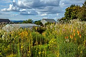 HIGHFIELD FARM, MONMOUTHSHIRE: JULY, BORDERS, KNIPHOFIA TAWNY KING, SANGUISORBA TENUIFOLIA ALBA, VERBASCUM OLYMPICUM