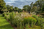 HIGHFIELD FARM, MONMOUTHSHIRE: JULY, BORDERS, KNIPHOFIA TAWNY KING, SANGUISORBA TENUIFOLIA ALBA, HELENIUM SAHINS EARLY FLOWERER, CORTADERIA RICHARDII