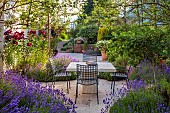 HIGHFIELD FARM, MONMOUTHSHIRE: JULY, PATIO, TERRACE, TABLE, CHAIRS, LAVENDER, LAVENDULA MUNSTEAD, ROSE, ROSA NIGHT OWL