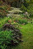HIGHFIELD FARM, MONMOUTHSHIRE: JULY, BORDERS, LAWN, RODGERSIA PINNATA, CORNUS ALTERNIFOLIA ARGENTEA, SHADE, SHADY