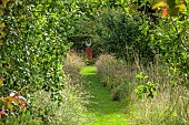 HIGHFIELD FARM, MONMOUTHSHIRE: JULY, GRASS PATH, SCULPTURE TOGETHER BY KARA SACHES, VISTA, WILDFLOWERS