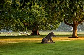 COTTESBROOKE HALL AND GARDENS, NORTHAMPTONSHIRE: THE WEST FRONT, LAWN, PARKLAND, STONE STATUE OF WILD BOAR, TREES