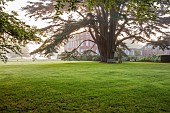 COTTESBROOKE HALL AND GARDENS, NORTHAMPTONSHIRE: THE WEST FRONT, LAWN, PARKLAND, CEDAR OF LEBANON