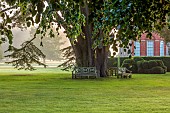 COTTESBROOKE HALL AND GARDENS, NORTHAMPTONSHIRE: THE WEST FRONT, LAWN, PARKLAND, WOODEN BENCHES, SEATS UNDER CEDAR OF LEBANON