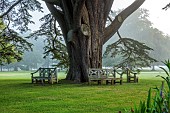 COTTESBROOKE HALL AND GARDENS, NORTHAMPTONSHIRE: THE WEST FRONT, LAWN, PARKLAND, WOODEN BENCHES, SEATS UNDER CEDAR OF LEBANON
