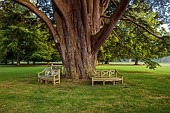COTTESBROOKE HALL AND GARDENS, NORTHAMPTONSHIRE: THE WEST FRONT, LAWN, PARKLAND, WOODEN BENCHES, SEATS UNDER CEDAR OF LEBANON