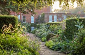 COTTESBROOKE HALL AND GARDENS, NORTHAMPTONSHIRE: THE TERRACE, DOUBLE HERBACEOUS BORDERS, PATH, YEW, ONOPORDUM ACANTHIUM, ERYNGIUMS, ALCHEMILLA MOLLIS