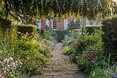 COTTESBROOKE HALL AND GARDENS, NORTHAMPTONSHIRE: THE TERRACE, DOUBLE HERBACEOUS BORDERS, PATH, YEW, ONOPORDUM ACANTHIUM, ERYNGIUMS, ALCHEMILLA MOLLIS