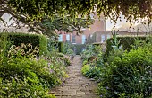 COTTESBROOKE HALL AND GARDENS, NORTHAMPTONSHIRE: THE TERRACE, DOUBLE HERBACEOUS BORDERS, PATH, YEW, ONOPORDUM ACANTHIUM, ERYNGIUMS, ALCHEMILLA MOLLIS
