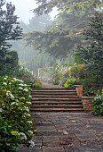 COTTESBROOKE HALL AND GARDENS, NORTHAMPTONSHIRE: THE TERRACE, DOUBLE HERBACEOUS BORDERS, STEPS, CEDAR OF LEBANON, ONOPORDUM ACANTHIUM, HYDRANGEA EMILE MOUILLERE