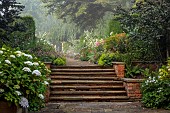 COTTESBROOKE HALL AND GARDENS, NORTHAMPTONSHIRE: THE TERRACE, DOUBLE HERBACEOUS BORDERS, STEPS, CEDAR OF LEBANON, ONOPORDUM ACANTHIUM, HYDRANGEA EMILE MOUILLERE
