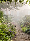 COTTESBROOKE HALL AND GARDENS, NORTHAMPTONSHIRE: THE TERRACE, DOUBLE HERBACEOUS BORDERS, ONOPORDUM ACANTHIUM, ALCHEMILLA, ERYNGIUMS, MIST, FOG