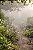 COTTESBROOKE HALL AND GARDENS, NORTHAMPTONSHIRE: THE TERRACE, DOUBLE HERBACEOUS BORDERS, ONOPORDUM ACANTHIUM, ALCHEMILLA, ERYNGIUMS, MIST, FOG