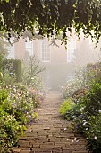 COTTESBROOKE HALL AND GARDENS, NORTHAMPTONSHIRE: THE TERRACE, DOUBLE HERBACEOUS BORDERS, ONOPORDUM ACANTHIUM, ALCHEMILLA, ERYNGIUMS, MIST, FOG
