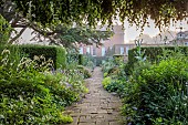 COTTESBROOKE HALL AND GARDENS, NORTHAMPTONSHIRE: THE TERRACE, DOUBLE HERBACEOUS BORDERS, ONOPORDUM ACANTHIUM, LUPINS, ALCHEMILLA MOLLIS