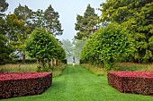 COTTESBROOKE HALL AND GARDENS, NORTHAMPTONSHIRE: LAWN, STATUE, COPPER BEECH HEDGE, LAWN, AVENUE, TREES