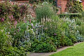 COTTESBROOKE HALL AND GARDENS, NORTHAMPTONSHIRE: STATUE WALK, DAWN, BORDERS, STACHYS, SANGUISORBA LILAC SQUIRREL, DELPHINIUN PINK RUFFLES, VERONICASTRUM VIRGINICUM ALBUM