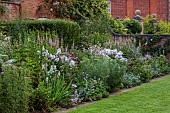 COTTESBROOKE HALL AND GARDENS, NORTHAMPTONSHIRE: STATUE WALK, BORDERS, VERONICASTRUM VIRGINICUM ALBUM, PHLOX, STACHYS