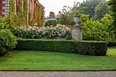 COTTESBROOKE HALL AND GARDENS, NORTHAMPTONSHIRE: ROSES TRAINED BY JENNY BARNES, WALL, ROSA ADELAIDE DORLEANS