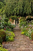 COTTESBROOKE HALL AND GARDENS, NORTHAMPTONSHIRE: THE TERRACE, DOUBLE HERBACEOUS BORDERS, ONOPORDUM ACANTHIUM, LUPINS, ALCHEMILLA MOLLIS DAHLIA HONKA ROSE