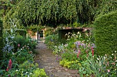 COTTESBROOKE HALL AND GARDENS, NORTHAMPTONSHIRE: THE TERRACE, DOUBLE HERBACEOUS BORDERS, ONOPORDUM ACANTHIUM, LUPINS, ALCHEMILLA MOLLIS DAHLIA HONKA ROSE