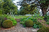COTTESBROOKE HALL AND GARDENS, NORTHAMPTONSHIRE: THE TERRACE, CEDAR OF LEBANON, STEPS, ONOPORDIUM ACNATHIUM, DELPHINIUM CONSTANCE RIVET, SALVIA CARADONNA, ALCHEMILLA